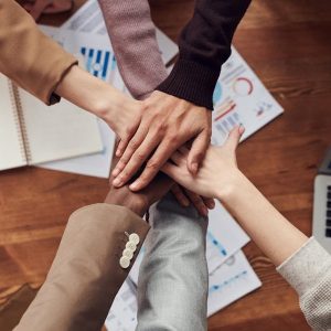 Equipe colaborando e construindo comunidade de marca